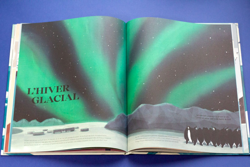 Antarctique-08