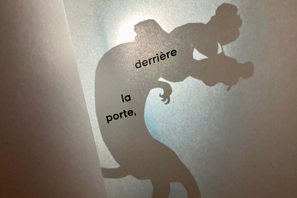 Il-y-a-des-monstres-dans-ma-chambre-02