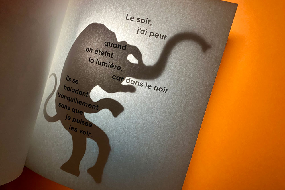 Il-y-a-des-monstres-dans-ma-chambre-03